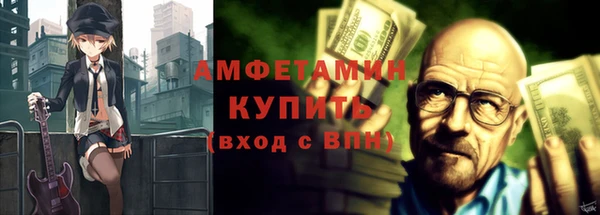 ГАЛЛЮЦИНОГЕННЫЕ ГРИБЫ Каменка