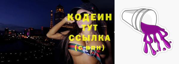 ГАЛЛЮЦИНОГЕННЫЕ ГРИБЫ Каменка