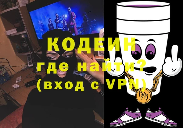 ГАЛЛЮЦИНОГЕННЫЕ ГРИБЫ Каменка