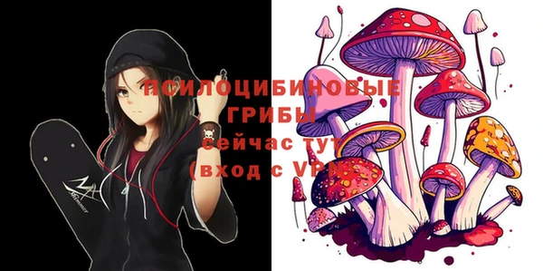 ГАЛЛЮЦИНОГЕННЫЕ ГРИБЫ Каменка
