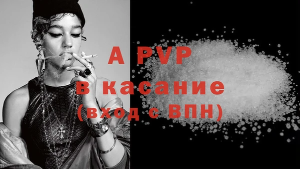 ГАЛЛЮЦИНОГЕННЫЕ ГРИБЫ Каменка