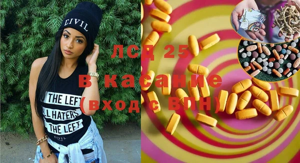 ГАЛЛЮЦИНОГЕННЫЕ ГРИБЫ Каменка