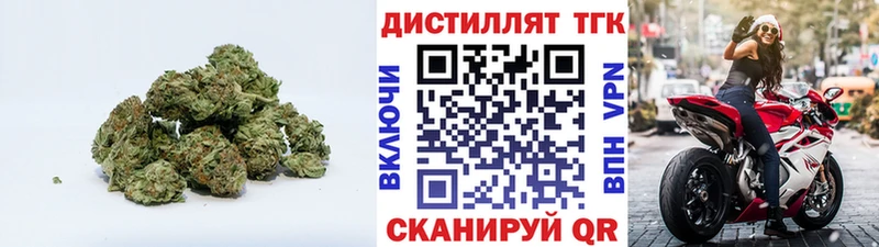 ТГК концентрат  Купить закладки  Западная Двина 