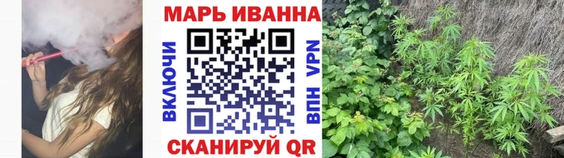 Купить где  Западная Двина  Марихуана Amnesia 